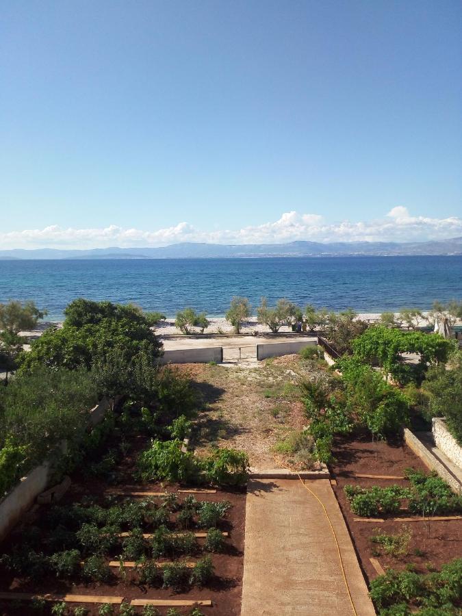 Apartments Zvonimir,Place By The Sea Mirce Dış mekan fotoğraf